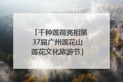 千种莲荷亮相第37届广州莲花山莲花文化旅游节