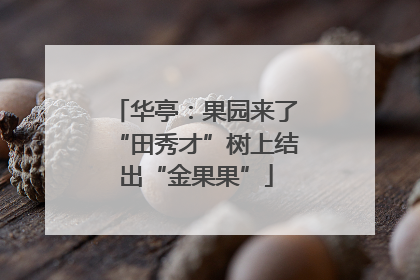 华亭：果园来了“田秀才”树上结出“金果果”