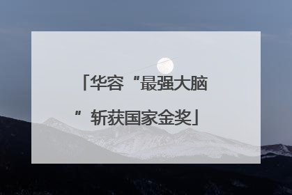 华容“最强大脑”斩获国家金奖