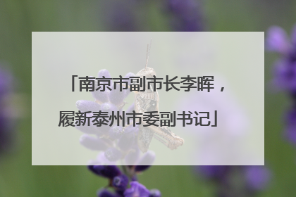 南京市副市长李晖，履新泰州市委副书记