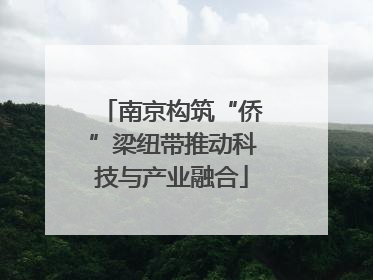 南京构筑“侨”梁纽带推动科技与产业融合