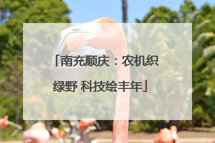 南充顺庆：农机织绿野 科技绘丰年