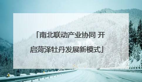 南北联动产业协同 开启菏泽牡丹发展新模式