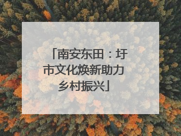 南安东田：圩市文化焕新助力乡村振兴