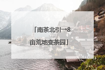 南茶北引→8亩荒地变茶园