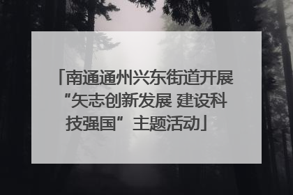 南通通州兴东街道开展“矢志创新发展 建设科技强国”主题活动