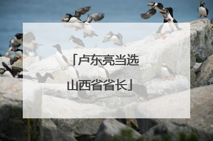 卢东亮当选山西省省长