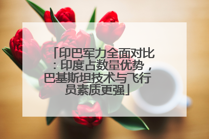 印巴军力全面对比：印度占数量优势，巴基斯坦技术与飞行员素质更强