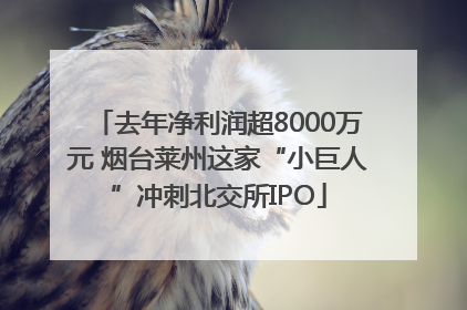 去年净利润超8000万元 烟台莱州这家“小巨人”冲刺北交所IPO