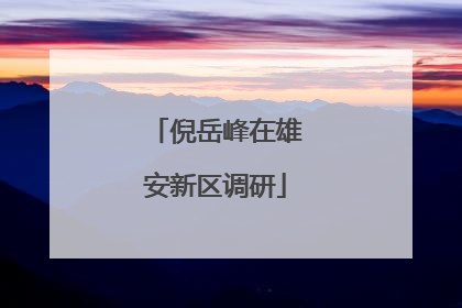 倪岳峰在雄安新区调研