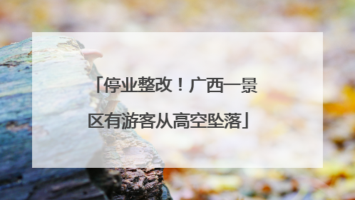 停业整改！广西一景区有游客从高空坠落