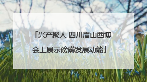 兴产聚人 四川眉山西博会上展示磅礴发展动能