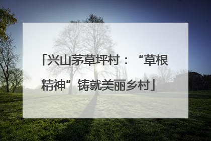 兴山茅草坪村：“草根精神”铸就美丽乡村