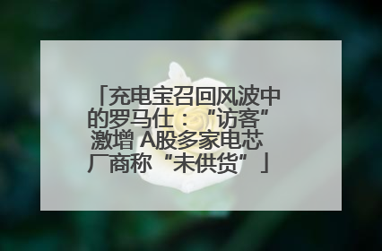 充电宝召回风波中的罗马仕：“访客”激增 A股多家电芯厂商称“未供货”
