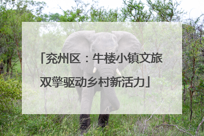 兖州区：牛楼小镇文旅双擎驱动乡村新活力