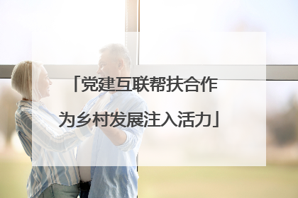 党建互联帮扶合作 为乡村发展注入活力