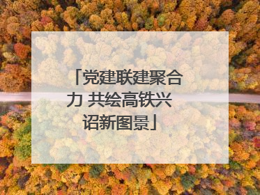党建联建聚合力 共绘高铁兴诏新图景