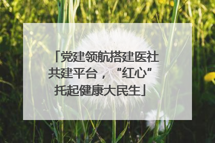 党建领航搭建医社共建平台，“红心”托起健康大民生
