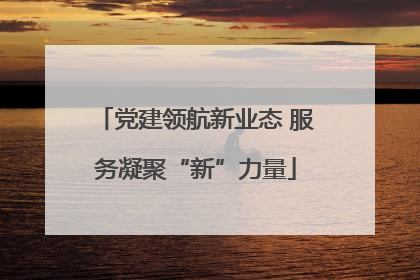 党建领航新业态 服务凝聚“新”力量