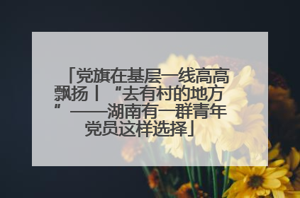 党旗在基层一线高高飘扬丨“去有村的地方”——湖南有一群青年党员这样选择