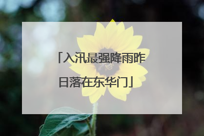 入汛最强降雨昨日落在东华门