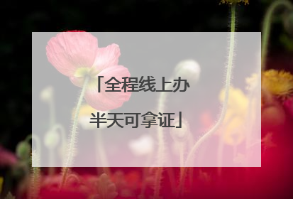 全程线上办 半天可拿证