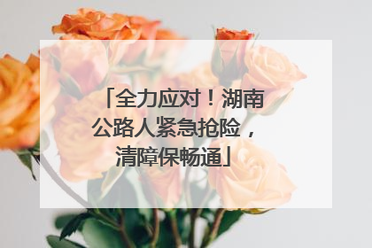 全力应对！湖南公路人紧急抢险，清障保畅通