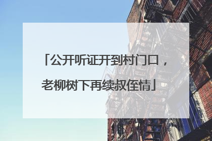 公开听证开到村门口，老柳树下再续叔侄情