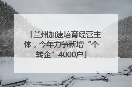 兰州加速培育经营主体，今年力争新增“个转企”4000户