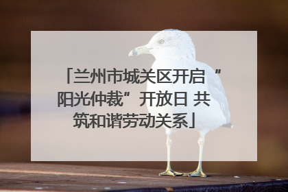 兰州市城关区开启“阳光仲裁”开放日 共筑和谐劳动关系