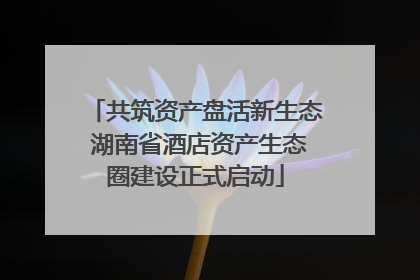 共筑资产盘活新生态 湖南省酒店资产生态圈建设正式启动