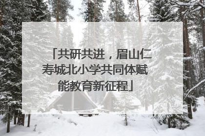 共研共进，眉山仁寿城北小学共同体赋能教育新征程
