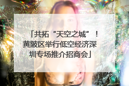 共拓“天空之城”！黄陂区举行低空经济深圳专场推介招商会