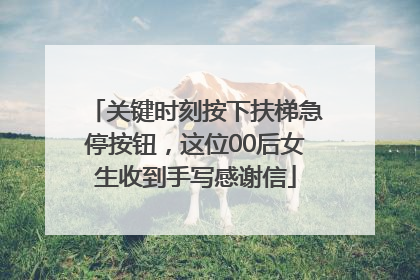 关键时刻按下扶梯急停按钮，这位00后女生收到手写感谢信