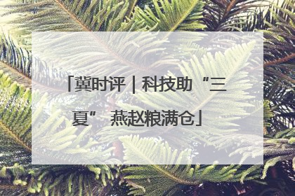 冀时评｜科技助“三夏” 燕赵粮满仓