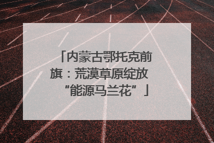 内蒙古鄂托克前旗：荒漠草原绽放“能源马兰花”
