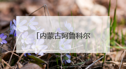 内蒙古阿鲁科尔沁旗：一棵草开启产业发展之路