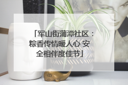 军山街蒲潭社区：粽香传情暖人心 安全相伴度佳节