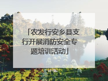 农发行安乡县支行开展消防安全专题培训活动