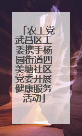 农工党武昌区工委携手杨园街道四美塘社区党委开展健康服务活动