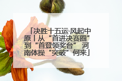 决胜十五运·风起中原丨从“首进决赛圈”到“首登领奖台” 河南体操“突破”何来