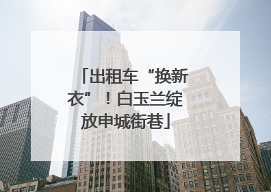 出租车“换新衣”！白玉兰绽放申城街巷