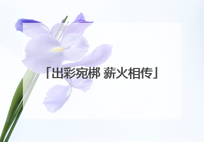 出彩宛梆 薪火相传