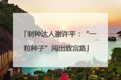 制种达人谢许平：“一粒种子”闯出致富路
