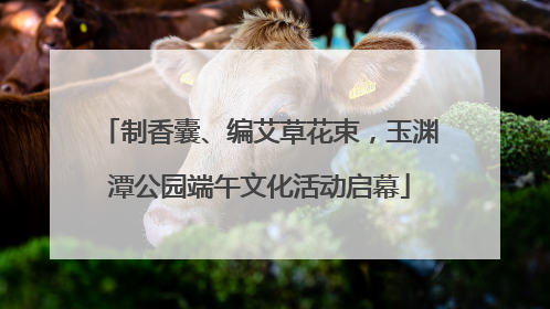 制香囊、编艾草花束，玉渊潭公园端午文化活动启幕
