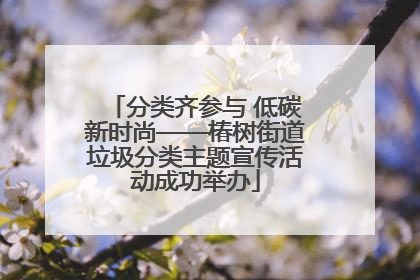 分类齐参与 低碳新时尚——椿树街道垃圾分类主题宣传活动成功举办