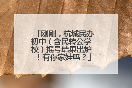 刚刚，杭城民办初中（含民转公学校）摇号结果出炉！有你家娃吗？