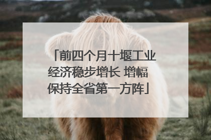 前四个月十堰工业经济稳步增长 增幅保持全省第一方阵