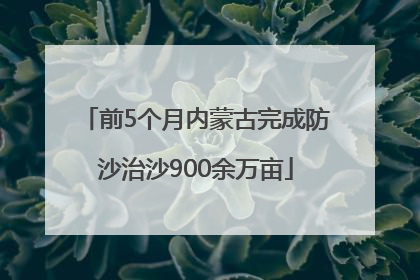 前5个月内蒙古完成防沙治沙900余万亩
