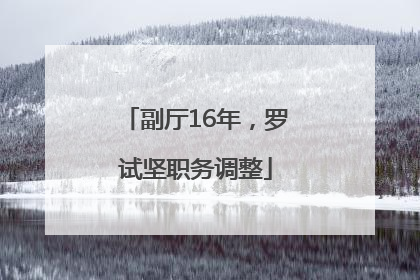 副厅16年，罗试坚职务调整